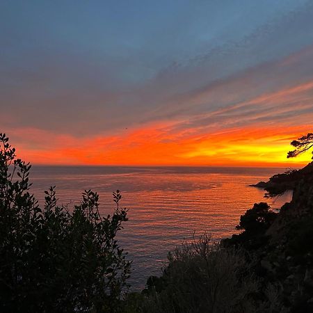 ⭑ Sea Views + Private Beach. What Else? ⭑ Tossa de Mar Zewnętrze zdjęcie